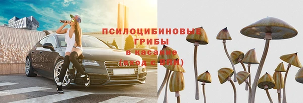 СК Михайловск