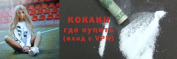 PSILOCYBIN Майский