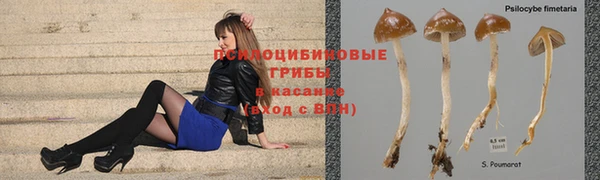 крисы Россошь