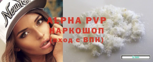 PSILOCYBIN Майский