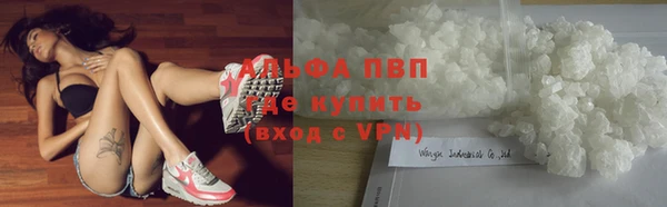 СК Михайловск