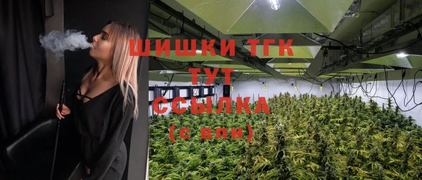2c-b Медвежьегорск